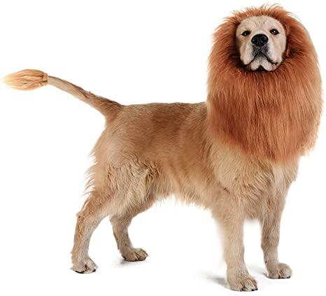 Lion Mane Realistic & Funny Costumes for Medium to Large Sized Dogs - TheGivenGet