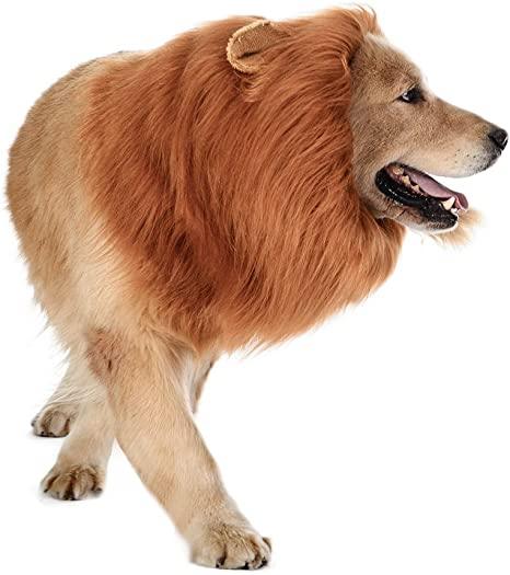 Lion Mane Realistic & Funny Costumes for Medium to Large Sized Dogs - TheGivenGet