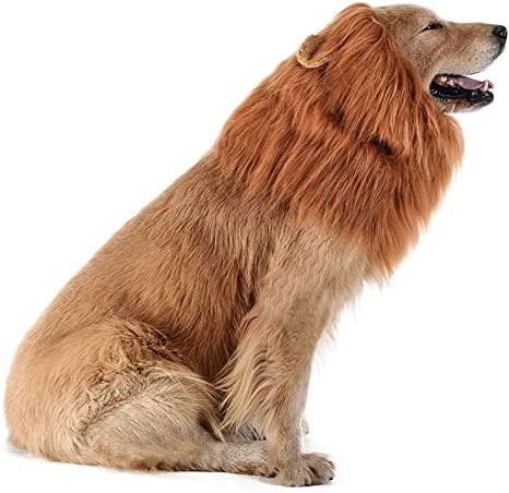 Lion Mane Realistic & Funny Costumes for Medium to Large Sized Dogs - TheGivenGet