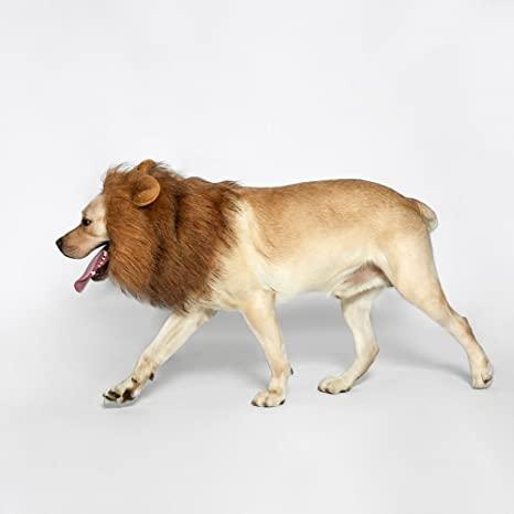 Lion Mane Realistic & Funny Costumes for Medium to Large Sized Dogs - TheGivenGet