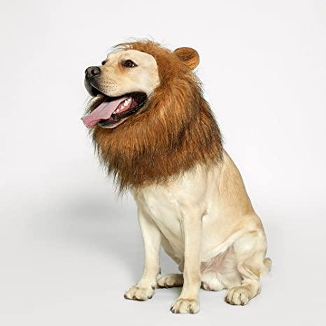 Lion Mane Realistic & Funny Costumes for Medium to Large Sized Dogs - TheGivenGet